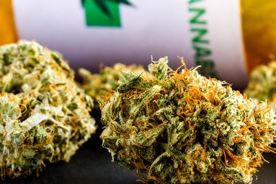 The Lure of Medical Marijuana