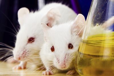 The Advantages of Microsampling