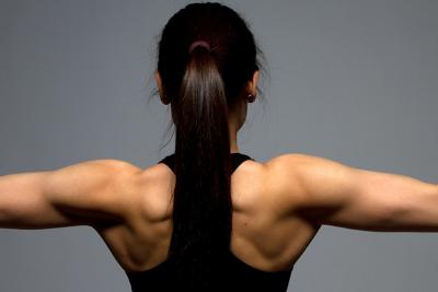 Eavesdropping on Muscle-Bone Crosstalk