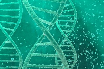 The Not-So-Perfect Palindromes