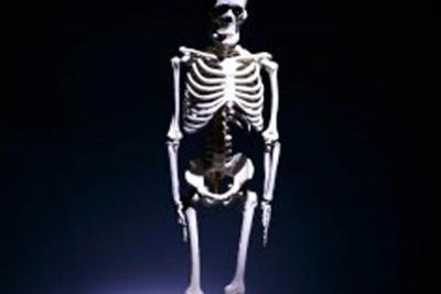 Susan Y. Smith featured in Genetic Engineering & Biotechnology News