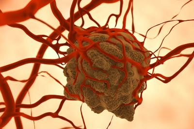 Blazing New Trails in Cancer Research