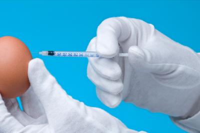 Vaccine Eggs