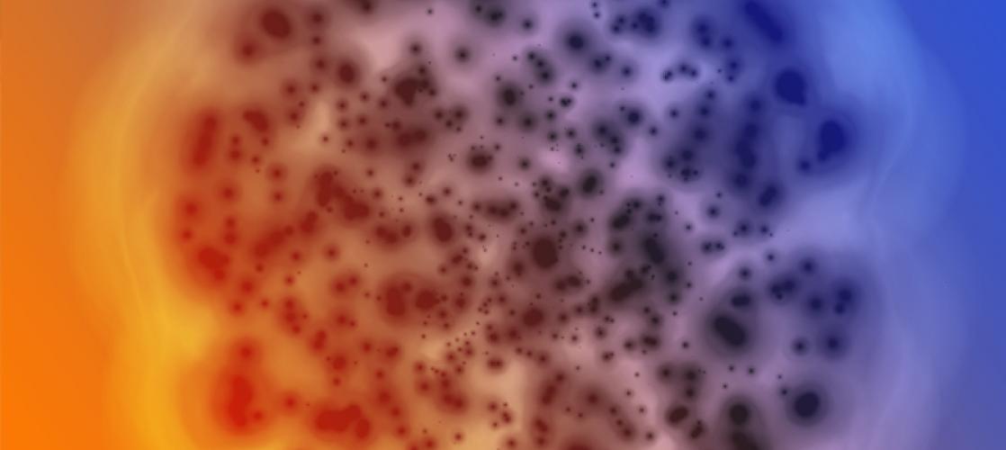 CAR-T cell