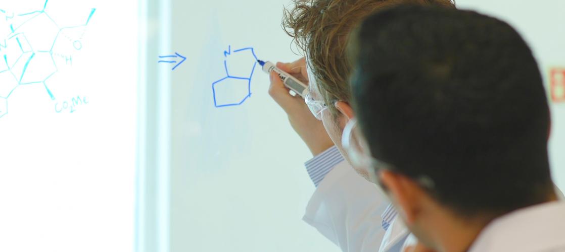 medicinal chemists drawing chemical structure