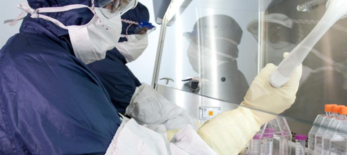 Scientists performing cell line validation in biomanufacturing