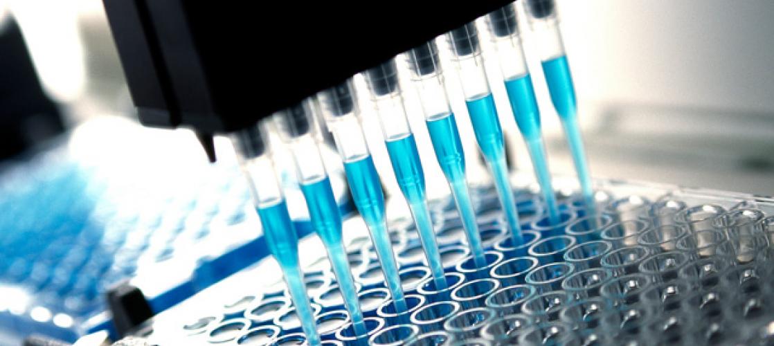 microsampling media and plate