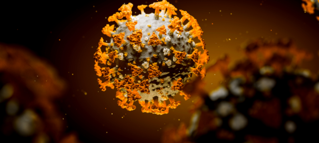 SARS-CoV-2, BSL3 virus